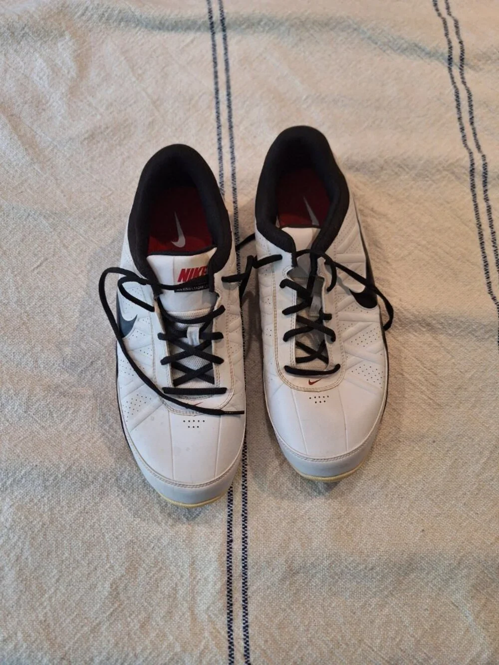 Nike men air